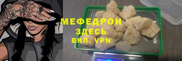 индика Арсеньев