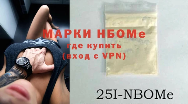 индика Арсеньев