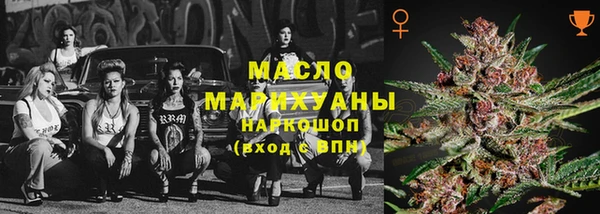 индика Арсеньев