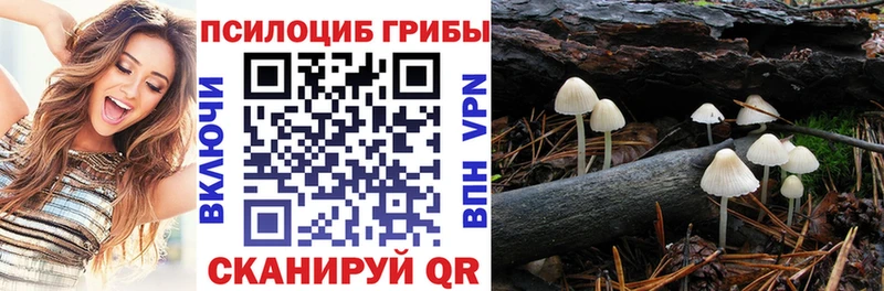 Галлюциногенные грибы Psilocybe  купить наркотик  кракен как войти  Покачи 